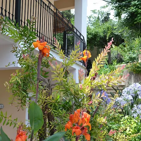 Virginia Aparthotel Benitses (Corfu)